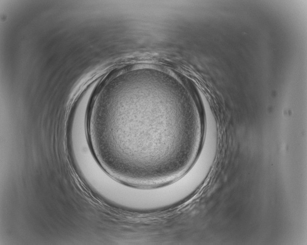 X0000085270293200703161437