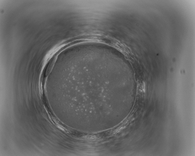 X0000085270294200703161437