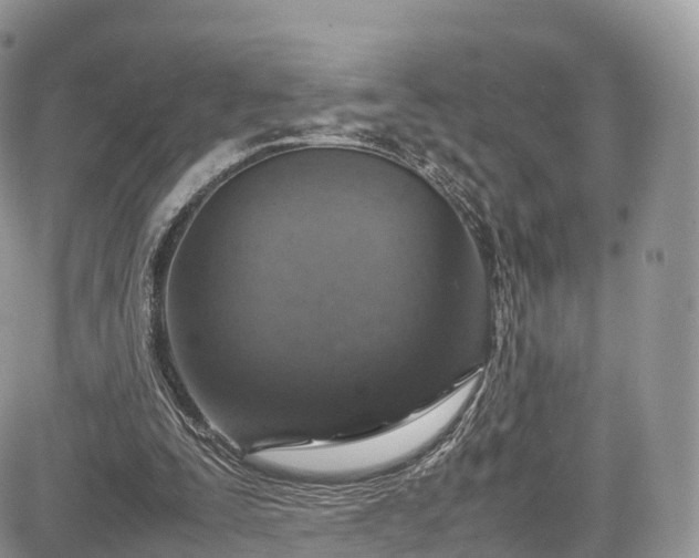 X0000085270295200703161437