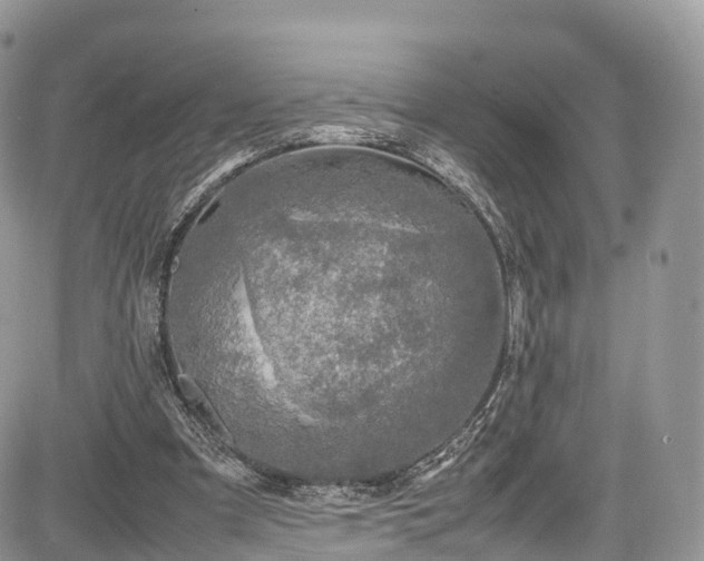 X0000085270297200703161437