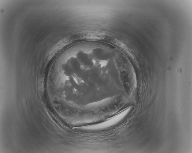 X0000085270299200703161437