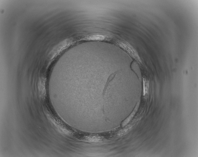 X0000085270300200703161436