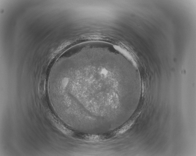 X0000085270301200703161436