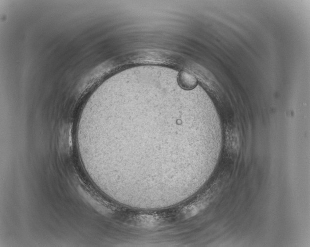 X0000085270302200703161436