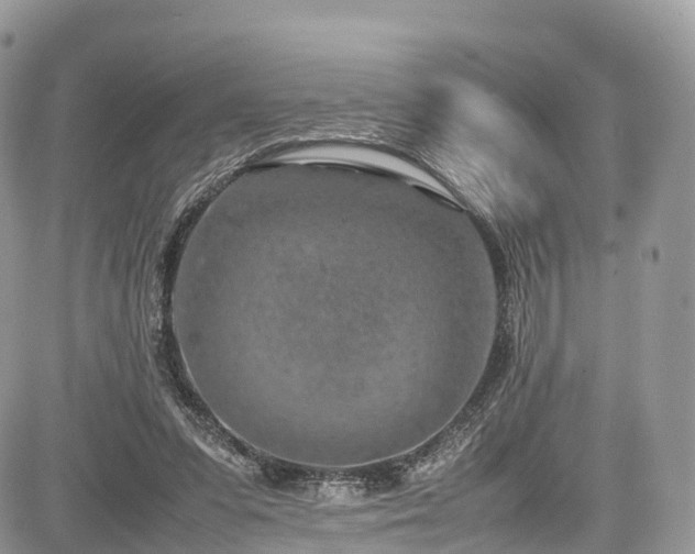 X0000085270303200703161436