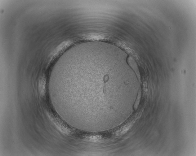 X0000085270304200703161436