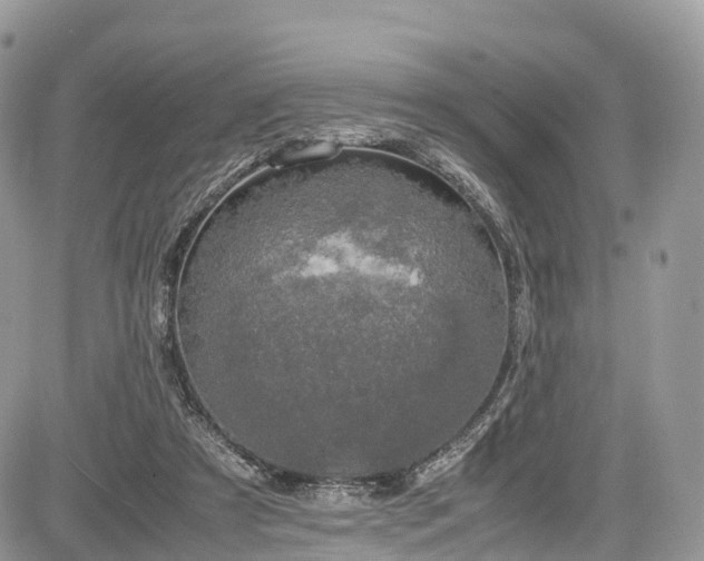 X0000085270305200703161436