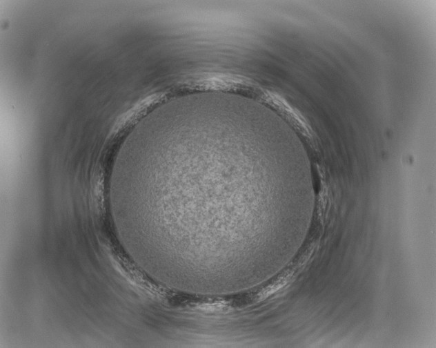 X0000085270306200703161436