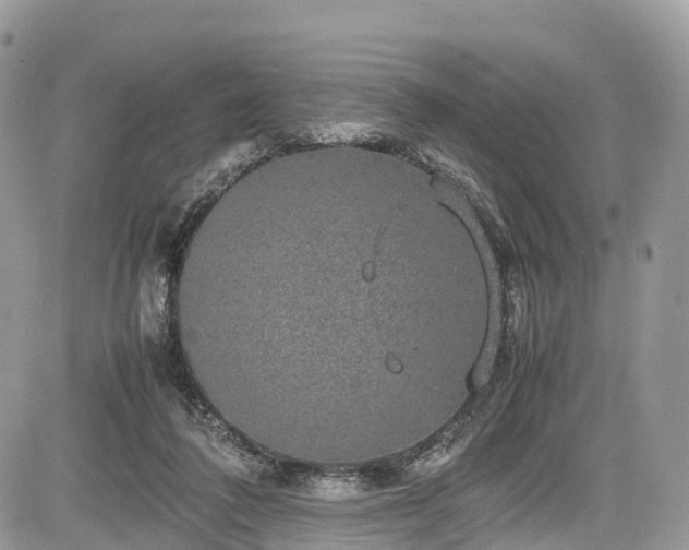 X0000085270308200703161436