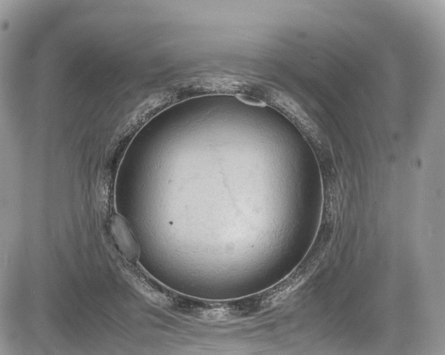 X0000085270309200703161436