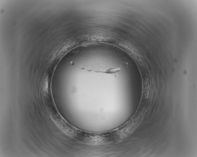 X0000085270310200703161436