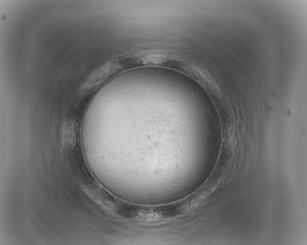 X0000085270311200703161436