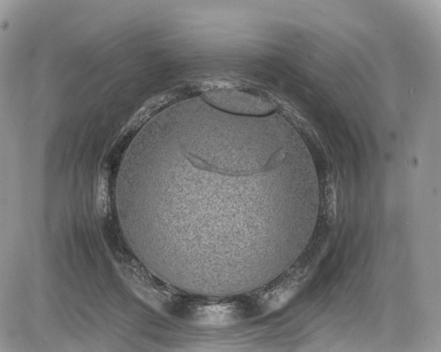 X0000085270312200703161436