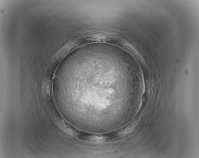 X0000085270313200703161436