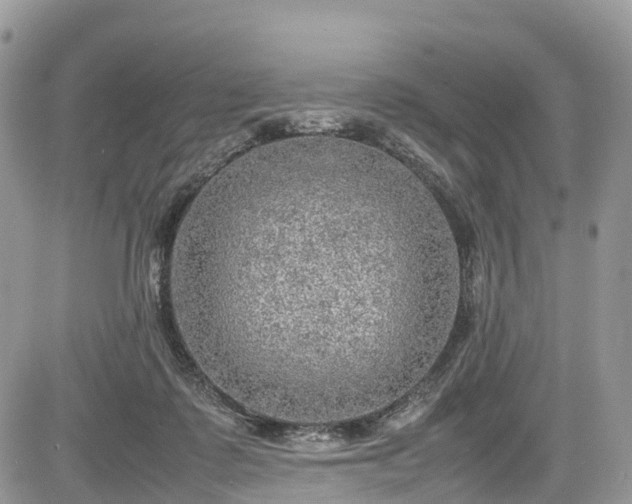 X0000085270315200703161436