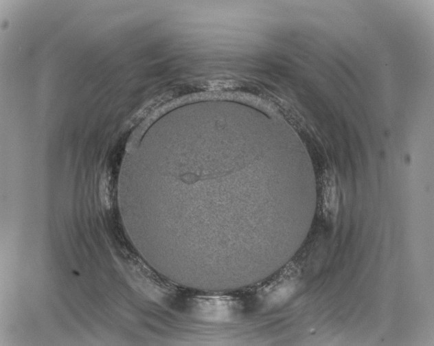 X0000085270316200703161436