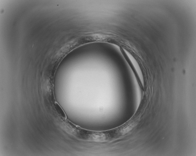 X0000085270317200703161436