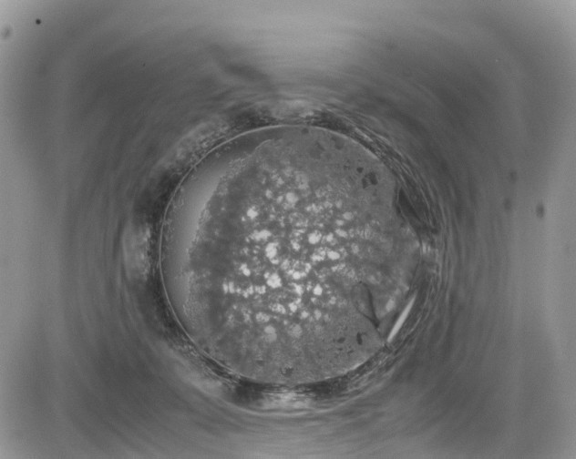 X0000085270319200703161436