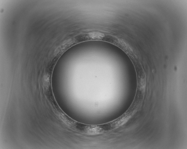 X0000085270321200703161436