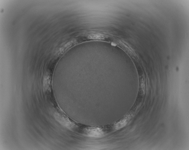 X0000085270322200703161436