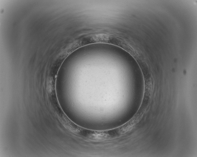 X0000085270323200703161436