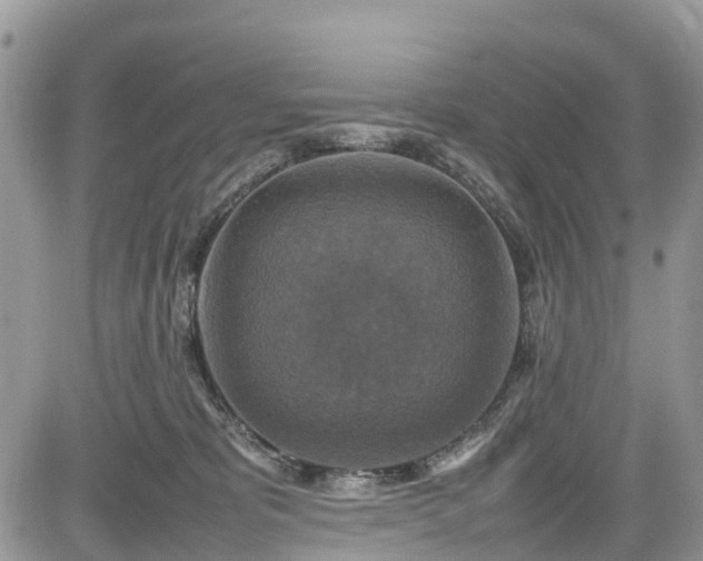 X0000085270325200703161436