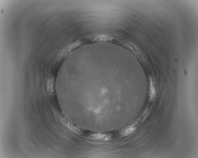 X0000085270326200703161436