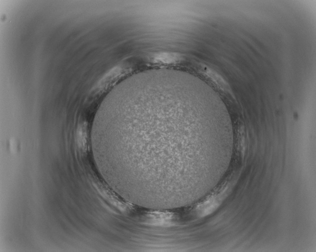 X0000085270328200703161436