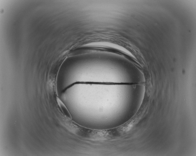 X0000085270329200703161436