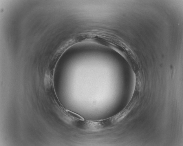 X0000085270333200703161436