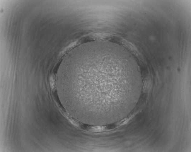 X0000085270335200703161436