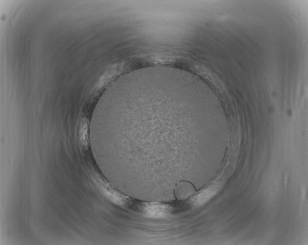 X0000085270336200703161436