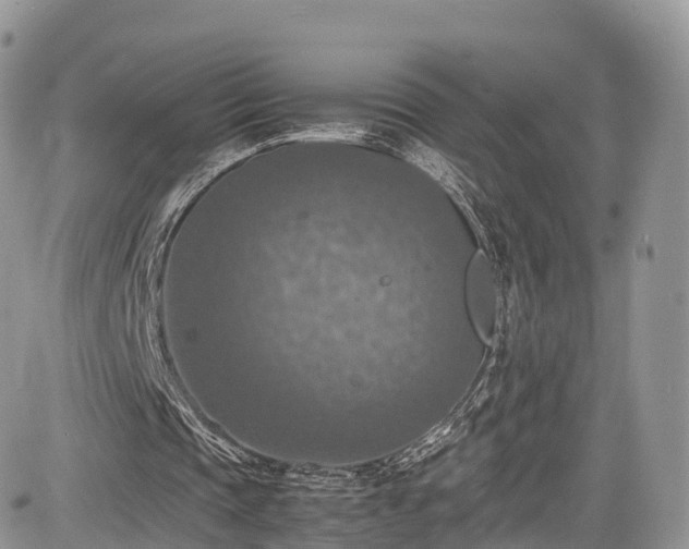 X0000085270337200703161435