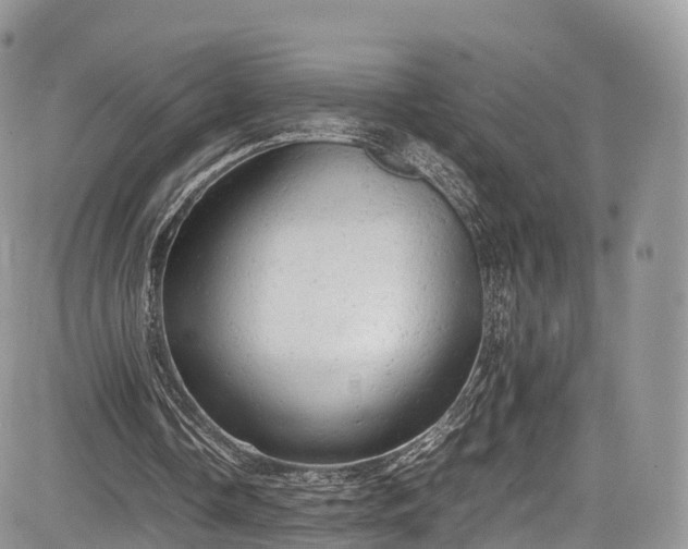 X0000085270338200703161435