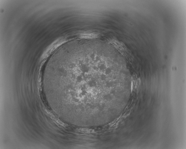 X0000085270339200703161435