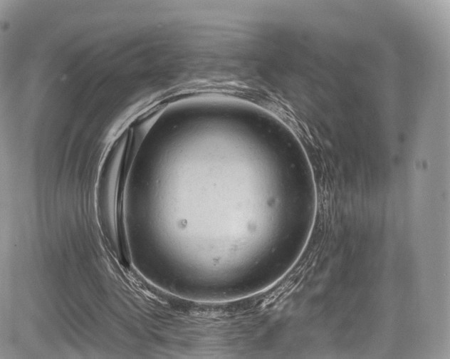 X0000085270340200703161435