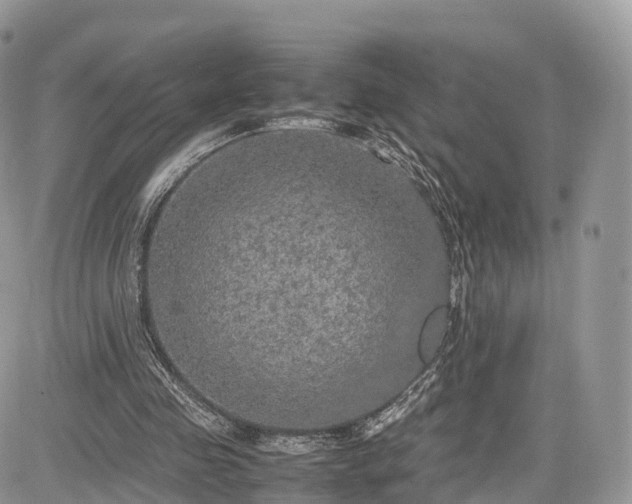 X0000085270341200703161435