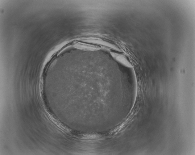 X0000085270342200703161435