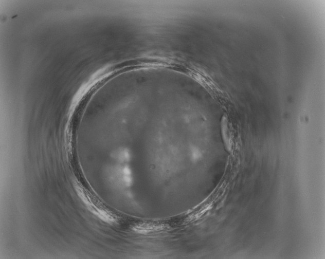 X0000085270343200703161435