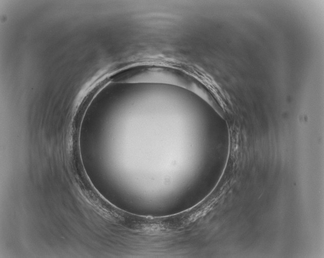 X0000085270344200703161435