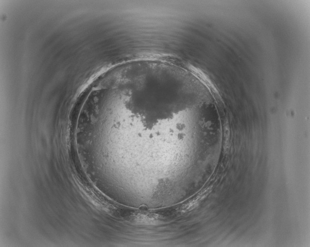 X0000085270346200703161435