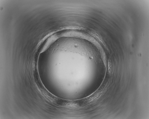 X0000085270348200703161435