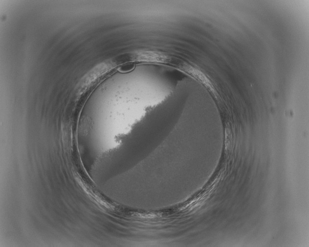 X0000085270349200703161435