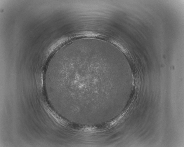 X0000085270350200703161435