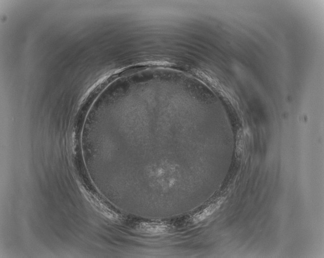 X0000085270351200703161435