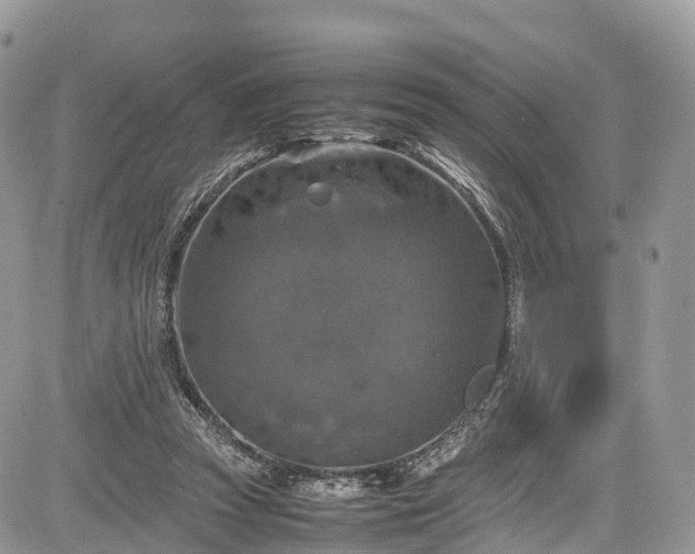 X0000085270353200703161435