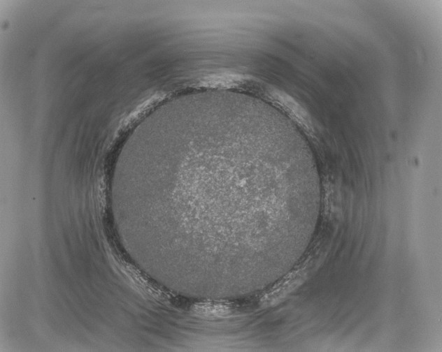 X0000085270354200703161435