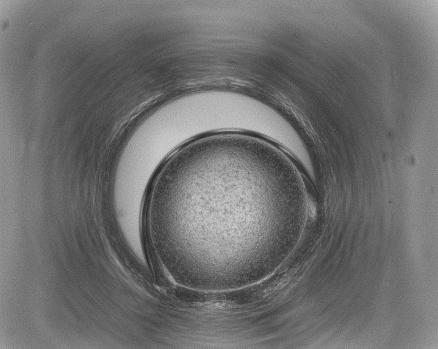 X0000085270356200703161435