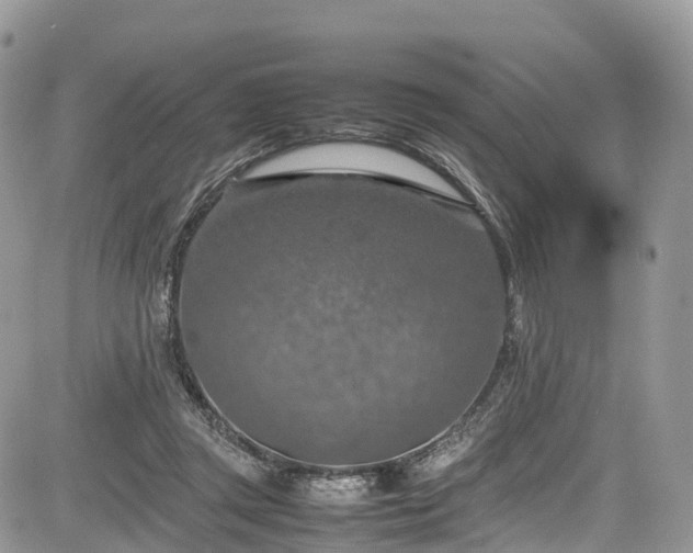 X0000085270357200703161435