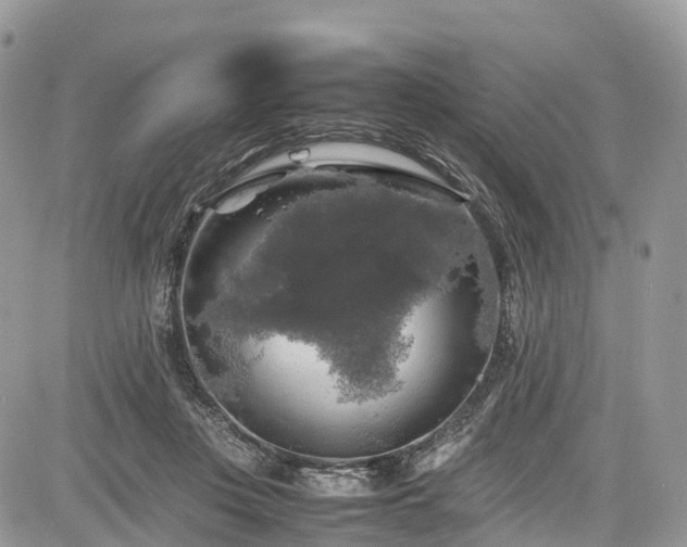 X0000085270359200703161435